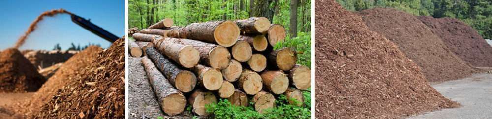 Central Pennsylvania Logs for Lumber, Wood Chips, and Mulch
