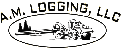 AM Logging