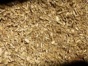 woody biomass fuel pennsylvania