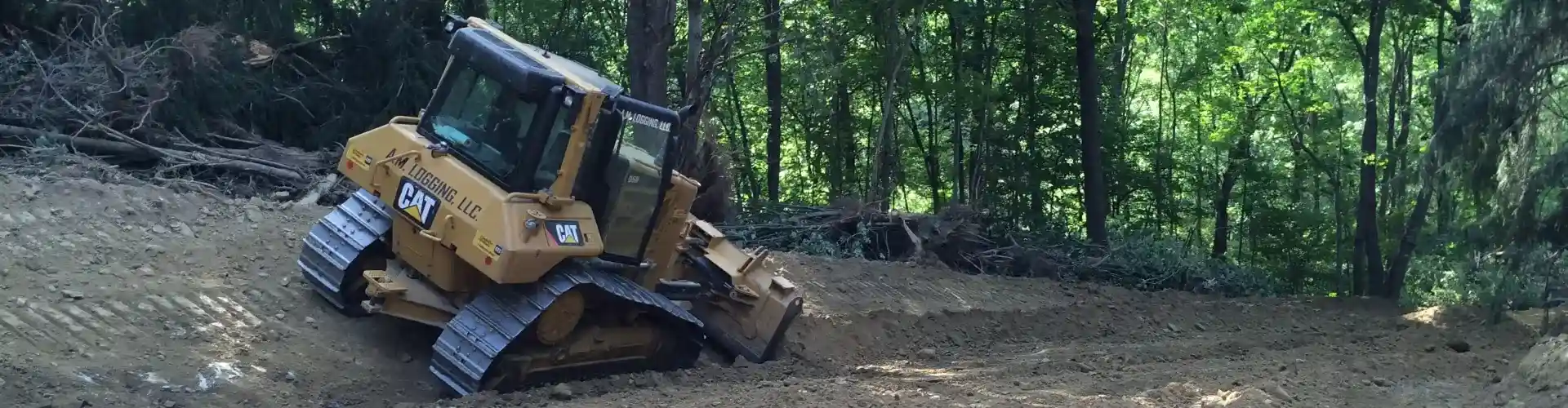 AM Logging Land Clearing