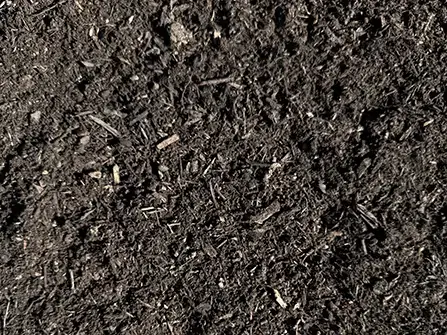 Compost from AM Logging